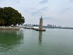 -无锡蠡湖国家湿地公园-蠡园