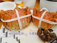 阳澄湖大闸蟹-品鲜村农家菜·阳澄湖大闸蟹(总店)
