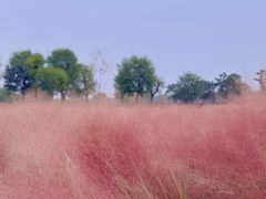 -汉长安城未央宫国家考古遗址公园