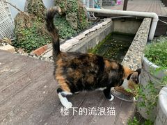 -奈斯宠物医院·核磁CT·异宠专科·内镜(中南店)