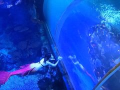 -临沂极地海洋王国