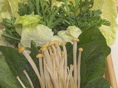 -京都蝎府羊蝎子火锅(珠市口店)