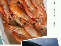 -西涌国际滨海旅游区