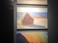 -印象莫奈时光映迹艺术展
