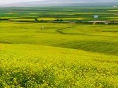 -扁都口生态休闲旅游区