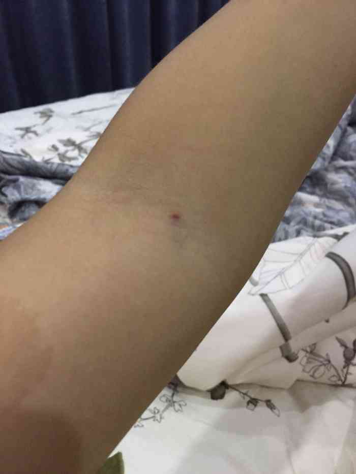 "-大众点评移动版