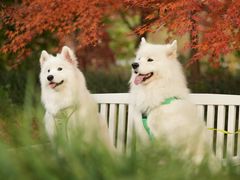 -花开海上生态园