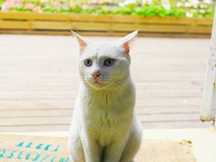 -灯塔咖啡馆BOOK·Coffee Shop