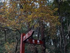 -青龙山国家森林公园
