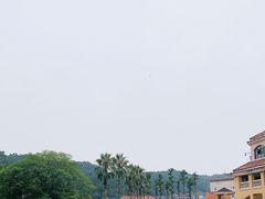 -重庆海昌加勒比海水世界