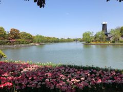 -上海鲜花港