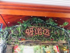 -呀诺达热带雨林