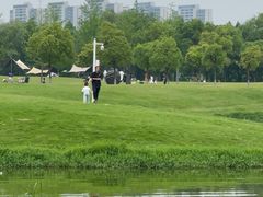 -洋湖国家湿地公园