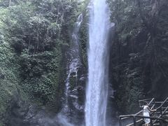 -莫里热带雨林景区