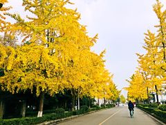 -四川大学(望江校区)