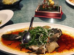 清蒸笋壳鱼-博多新记·粤菜(复兴店)