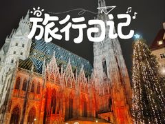 -斯蒂芬主教座堂(Stephansdom)