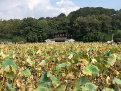 -古田会议纪念馆