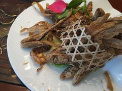 -百姓渔村(南中环店)