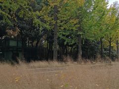 -苏州河梦清园环保主题公园