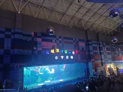 -泉城欧乐堡海洋极地世界