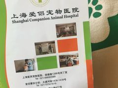 -爱侣宠医·鹦鹉专科·小型哺乳类·异宠专科(灵石路店)