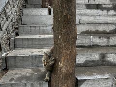 -四门塔风景区