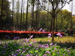 -苏州河梦清园环保主题公园