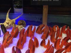 -广州花园酒店-凌璇阁360度高空海鲜自助餐CAROUSEL