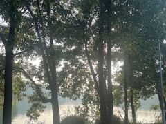 -红花湖景区