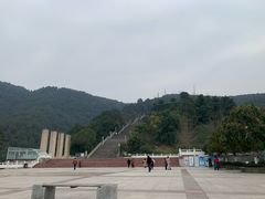 -铁山坪森林公园