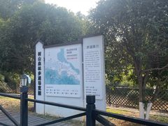 -树山生态村