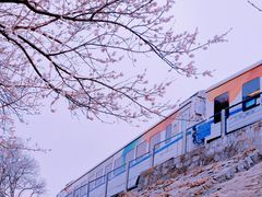 -居庸关长城