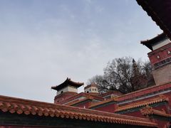 -颐和园