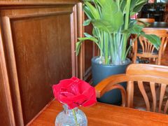 -上古咖啡ShadowCafe&Reastaurant(哈尔滨中央大街店)