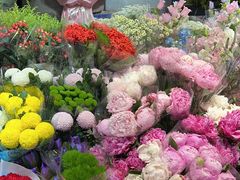 -朝来春花卉市场