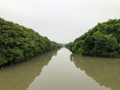 -大湾区中央湿地公园