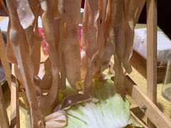 -田鸭肠·非遗火锅(彭州店)