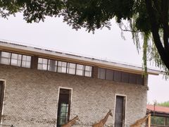 -石家庄市动物园