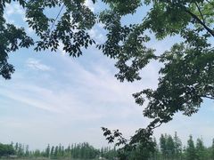 -广富林郊野公园