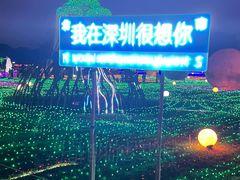 -海上田园