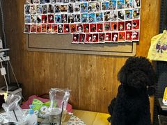 -精灵岛宠物生活馆(洪泽花园店)