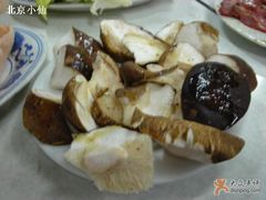 粉多肉滴香菇-大槐树烤肉馆