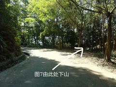 -火炉山森林公园