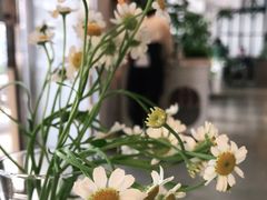 -慕境Moment Space·Fresh(33小镇店)