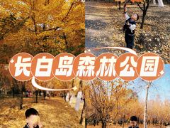 -长白岛森林公园