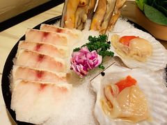 -汤城·料青山