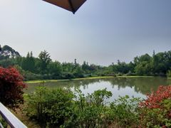 -桤木河湿地公园