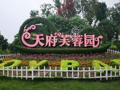 -天府芙蓉园