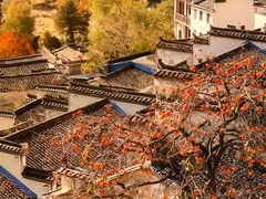 -塔川景区